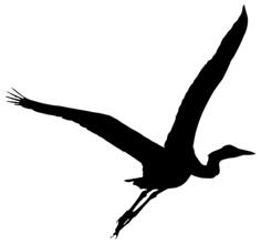 Heron silhouette