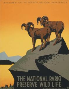National parks tourism poster