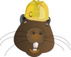 Beaver's head