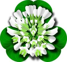 Clover Flower