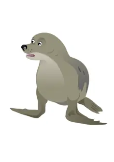 Grey seal