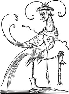 Bizarre bird