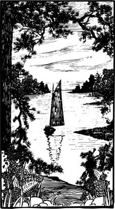 Sailboat in nature