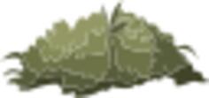 Mountain flora