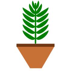 Potted plant