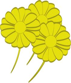 Yellow flowers