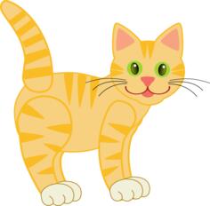 A tiger cat