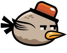 Brow-feathered bird