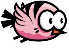 Cute bird