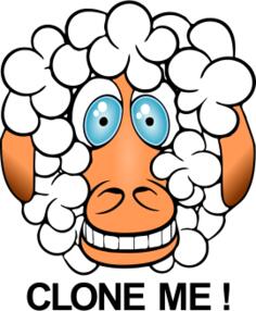 Comic sheep