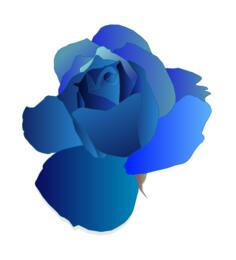 Blue rose