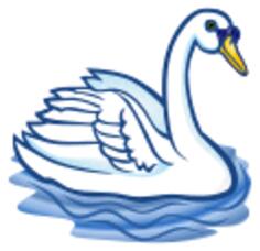 White swan