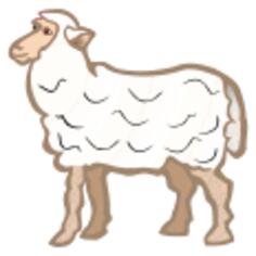 Cartoon sheep