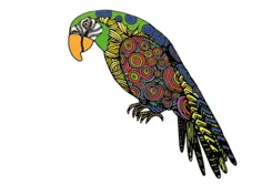 Abstract parrot