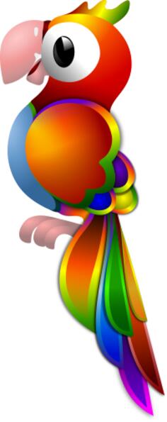 Colorful parrot