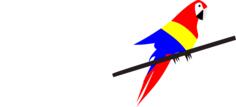 Macaw on the tree