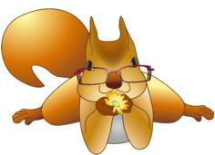 Squirrel