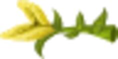 Yellow crumb flower