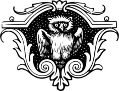 Grumpy owl