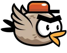 Angry bird