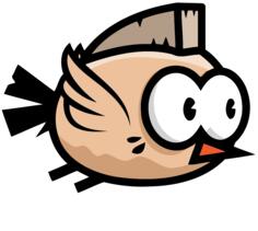 A cool bird