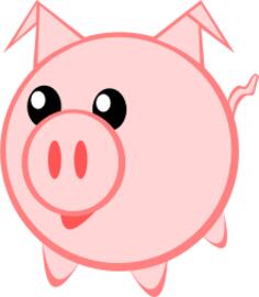Little pig