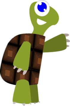 Green turtle