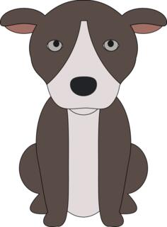 A puppy of a pit bull