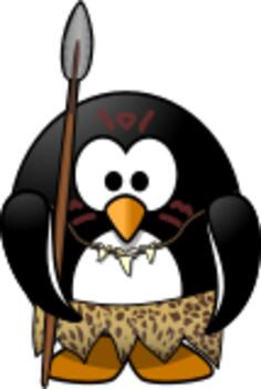 Wild penguin