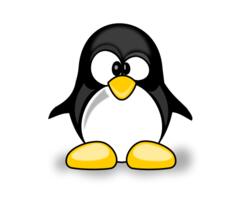 Vector illustration of a penguine
