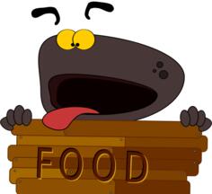 Hungry dog