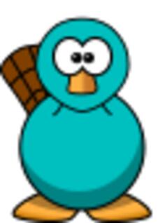 Cute platypus
