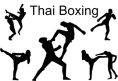 Silhouette of kickboxing fighters