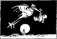 Flying Stork and Baby
