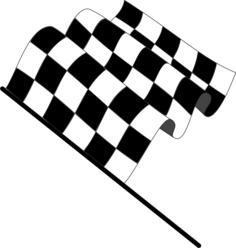 Wavy checkered flag vector image