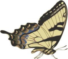 Side view of brown butterfly vector image