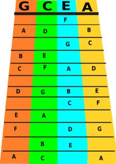 Ukulele notes vector image