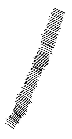 Hatching Lines