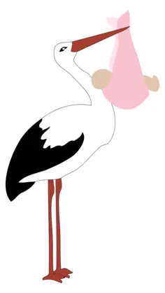 Stork Delivering Baby Girl