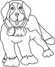 Saint Bernard dog image