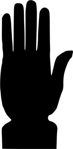 Five fingers open wide.
