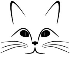 Drawing of a cat's face