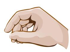 Vector of a hand