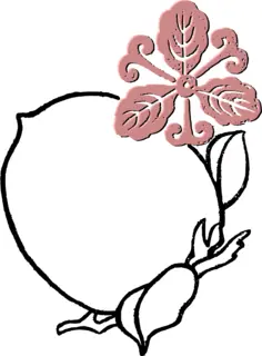 Peach flower frame