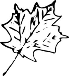 Monochrome maple Leaf
