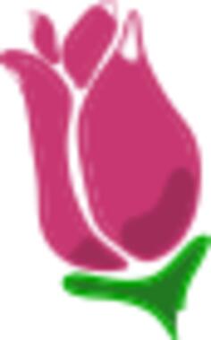 Abstract pink rose vector clip art