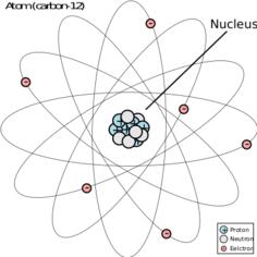 Carbon 12 atom diagram vector image