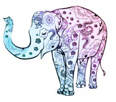 Blue floral elephant vector graphics