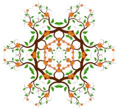 Vector drawing of star-shaped color floral design