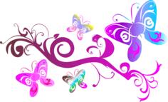 Colorful flourish with pink butterfly illustration